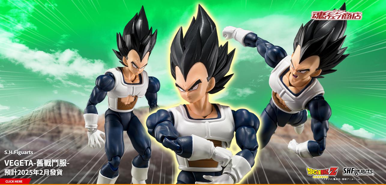 Dragon Ball Vegeta Old Battle Clothes Shf