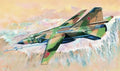 MIG23 MLD Floggerk