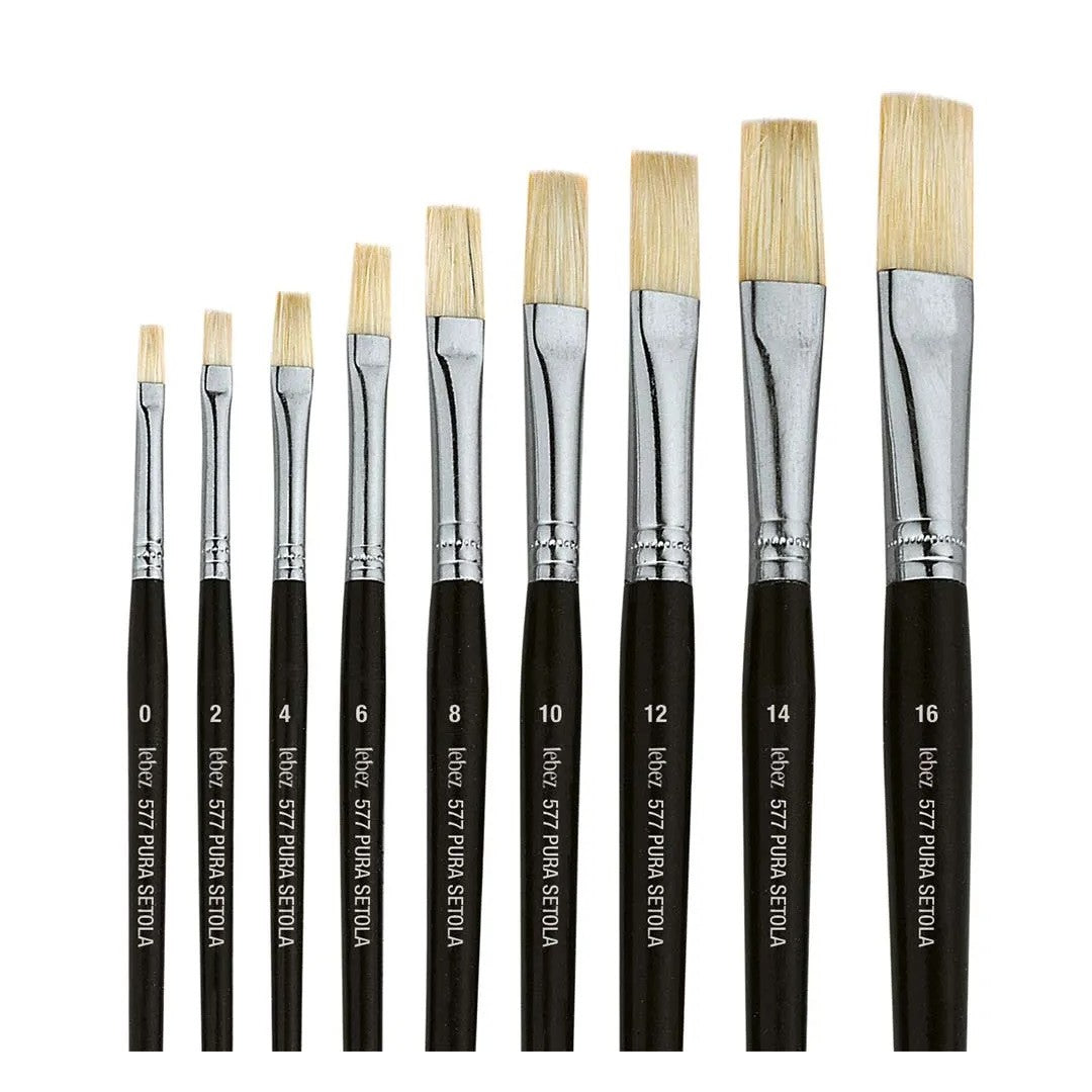 Flatbrush Lebez 8