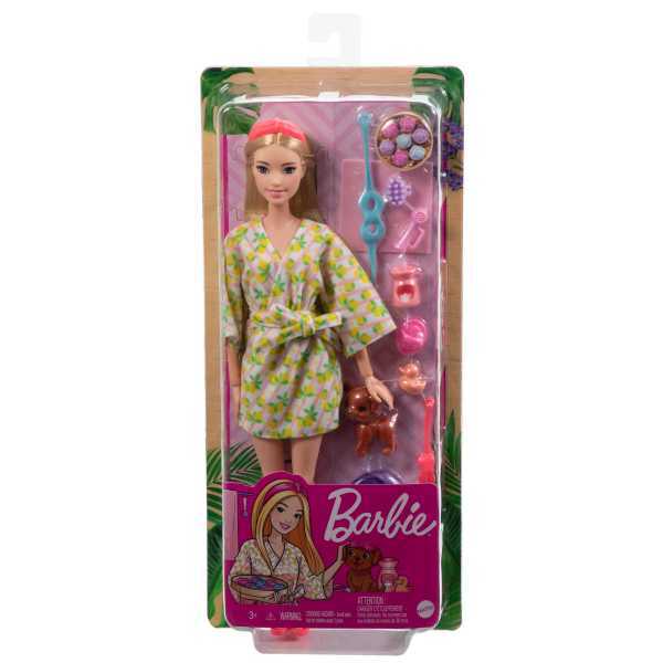 Barbie Wellness Doll & Puppy GKH73 Ass