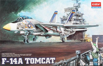 F-14A Tomcat Academy