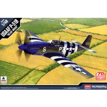 USAAF P-51B `Invasion of Normandy 70th Anniversary 