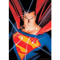 DC Universe Superman Puzzle
