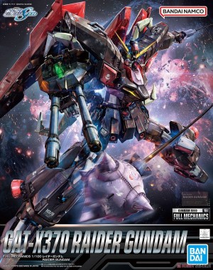 Gundam Seed Gundam Raider