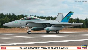 EA-18G Growler VAQ-135 Black Ravens