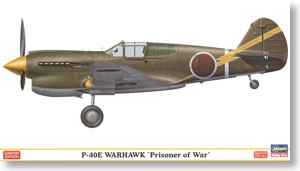 P-40E Warhawk Prisoner of War